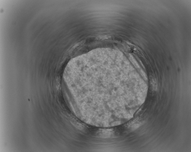 X0000068740665200605262052