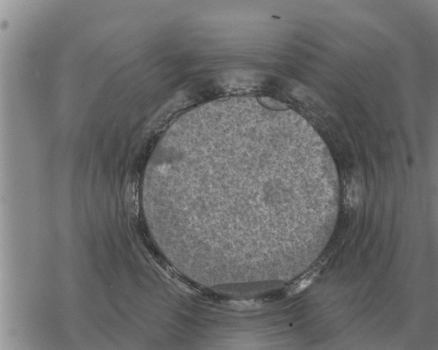 X0000068740666200605262052