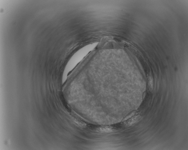 X0000068740668200605262052