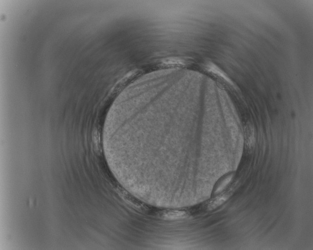 X0000068740669200605262052