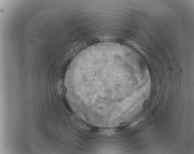 X0000068740671200605262052