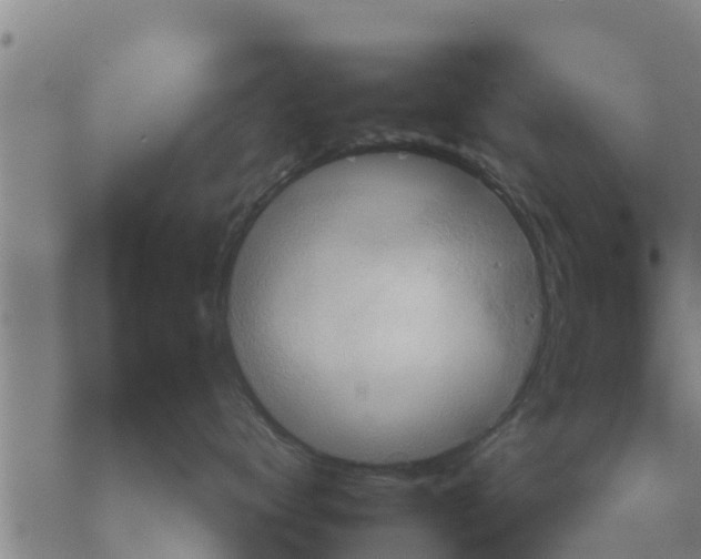 X0000068740672200605262052