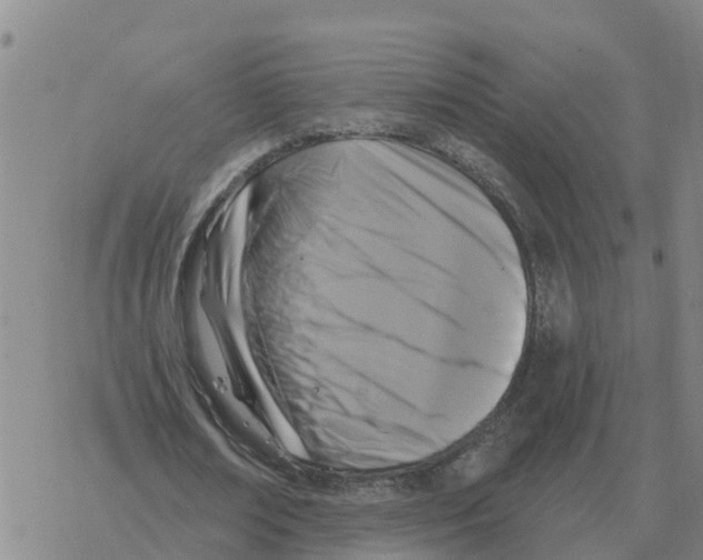 X0000068740674200605262051