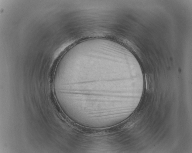 X0000068740675200605262051