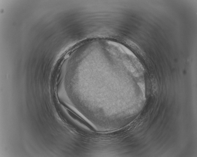 X0000068740680200605262051