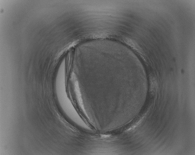 X0000068740681200605262051