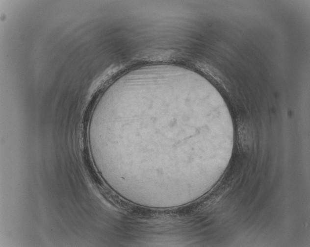 X0000068740682200605262051