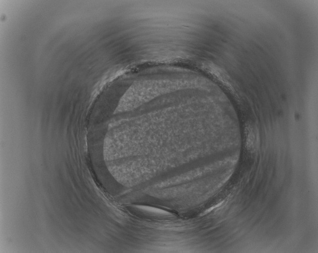 X0000068740685200605262051