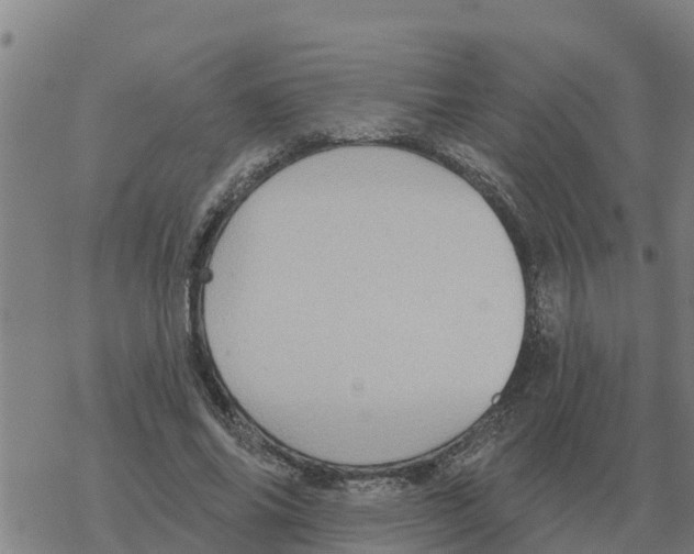 X0000068740686200605262051