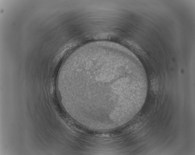 X0000068740687200605262051