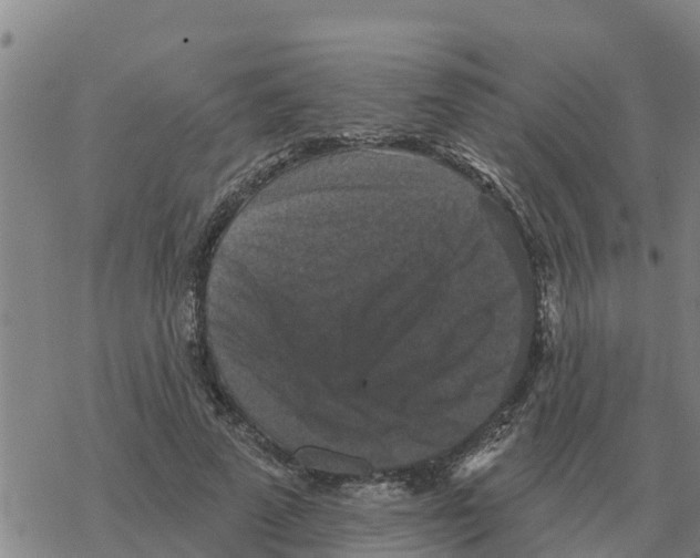 X0000068740689200605262051