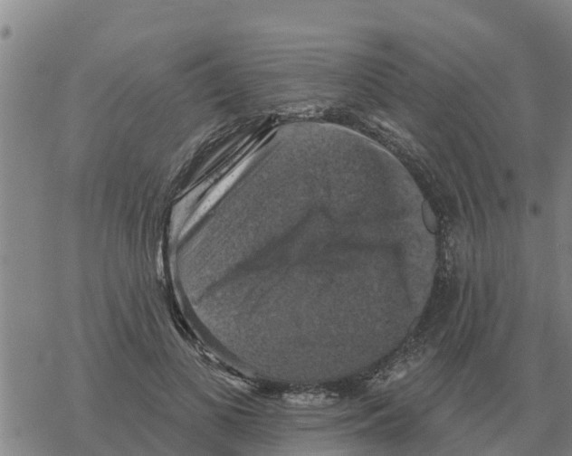 X0000068740693200605262051