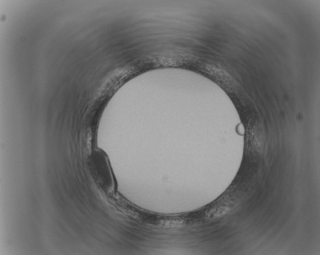 X0000068740694200605262051