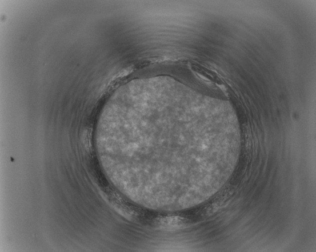 X0000068740695200605262051