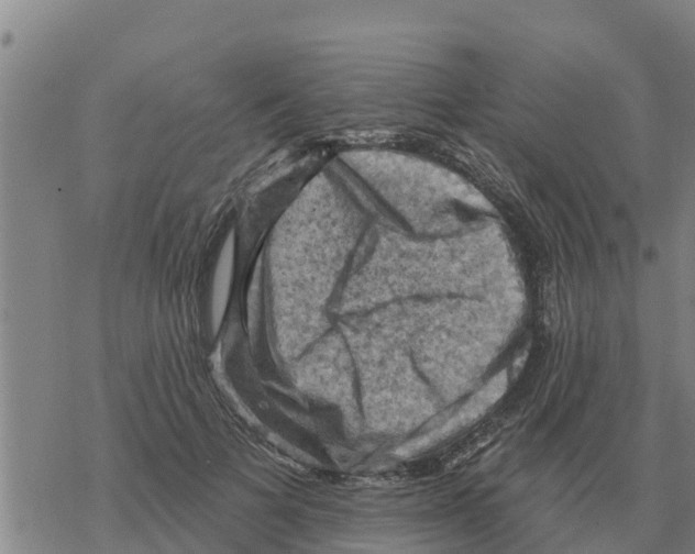 X0000068740697200605262051