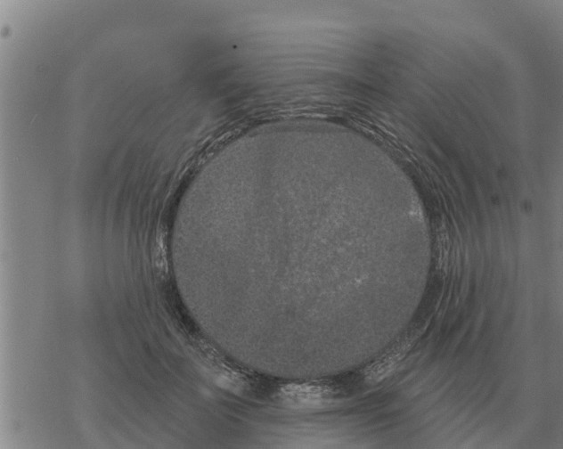 X0000068740699200605262051