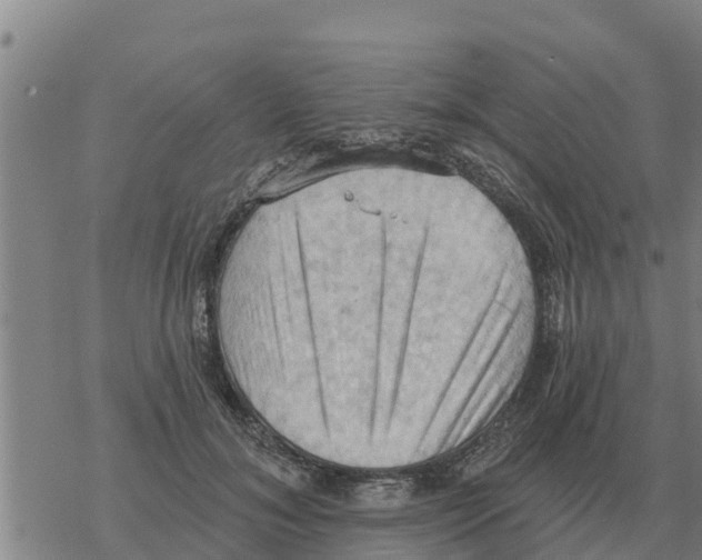 X0000068740700200605262051