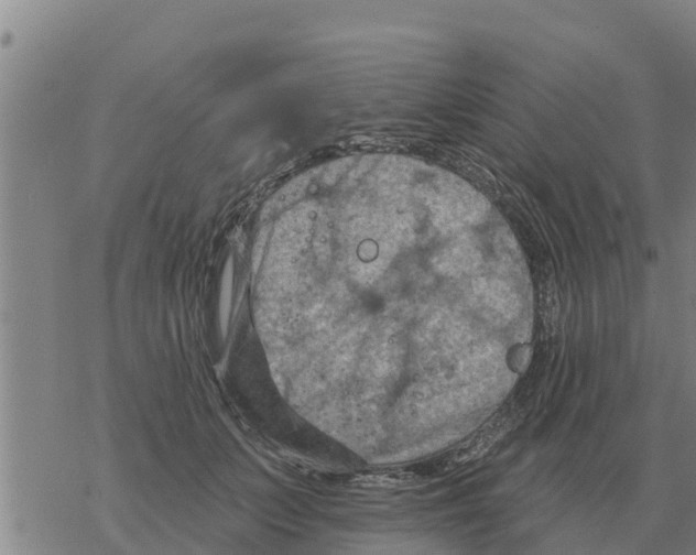 X0000068740703200605262051