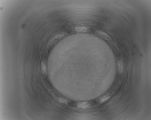 X0000068740705200605262051