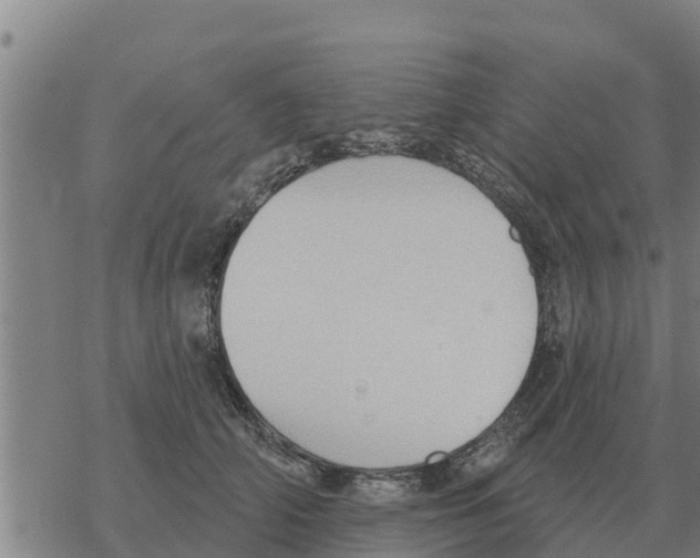 X0000068740706200605262051