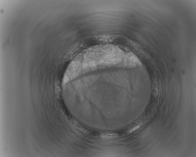 X0000068740707200605262051