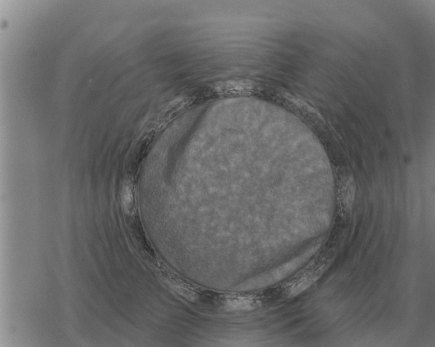 X0000068740709200605262051