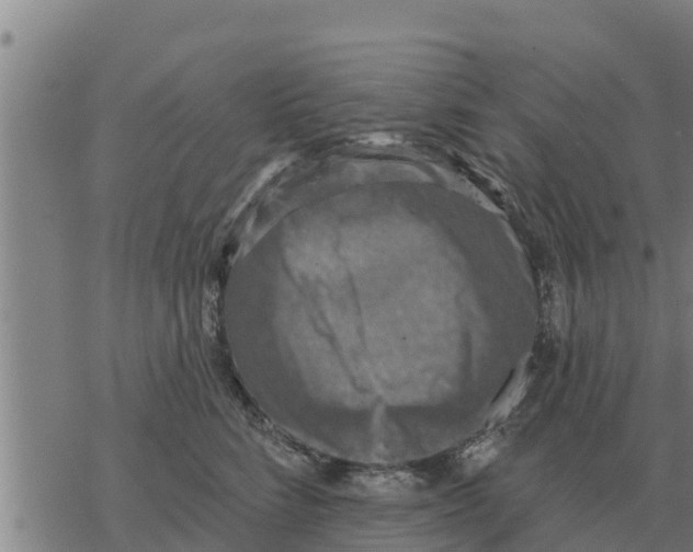 X0000068740712200605262051