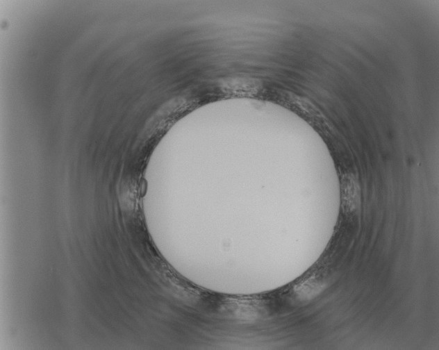 X0000068740713200605262051