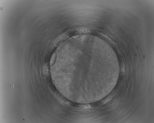 X0000068740715200605262051