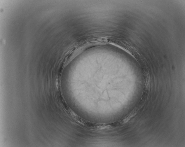 X0000068740716200605262051