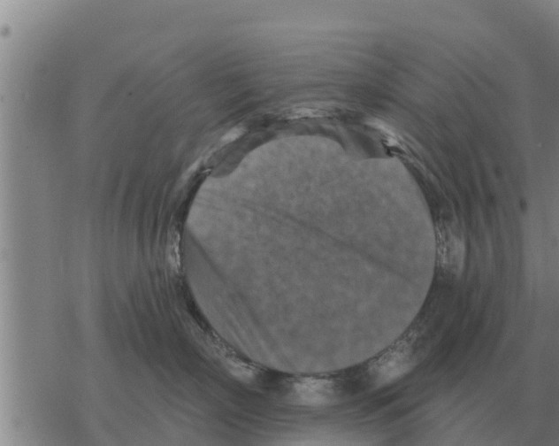 X0000068740718200605262051