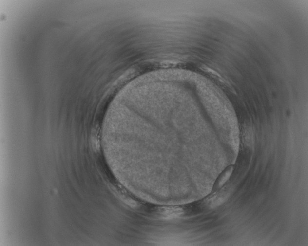 X0000068740719200605262051