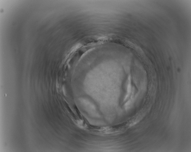 X0000068740720200605262051