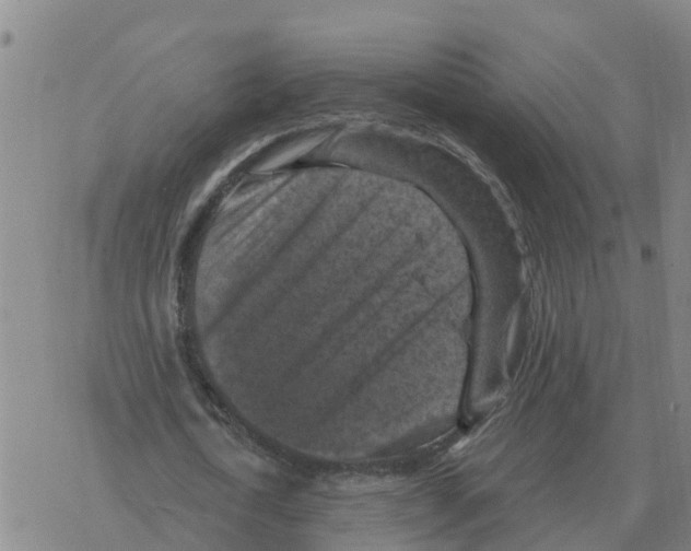 X0000068740722200605262050