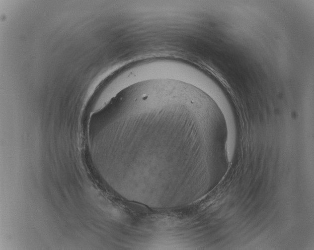 X0000068740724200605262050