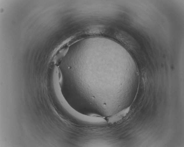 X0000068740728200605262050