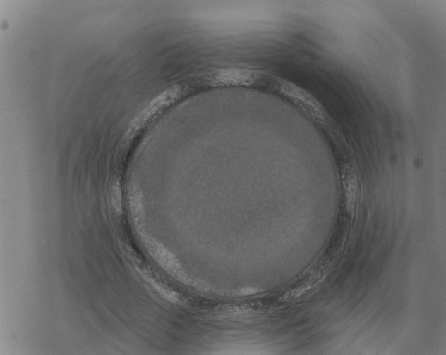 X0000068740729200605262050