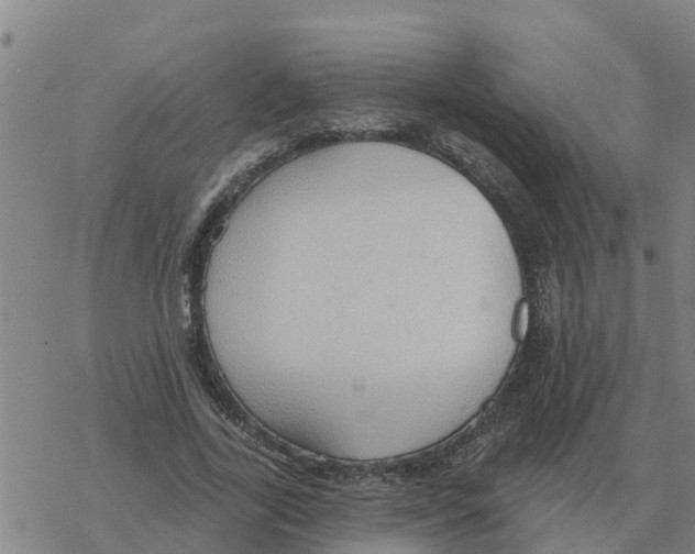 X0000068740731200605262050