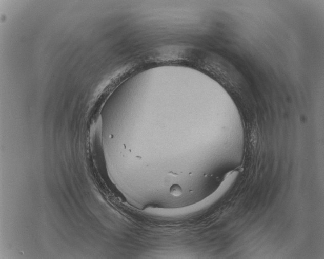 X0000068740732200605262050