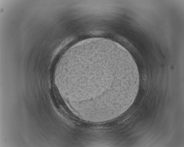 X0000068740734200605262050