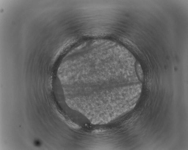 X0000068740735200605262050