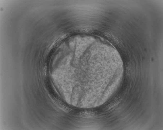 X0000068740739200605262050