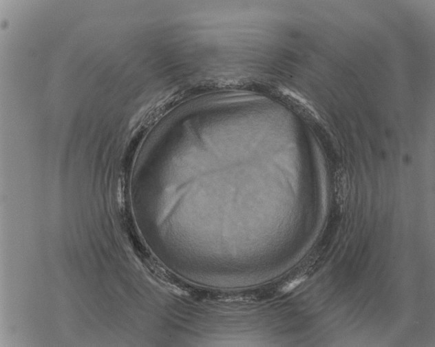 X0000068740740200605262050