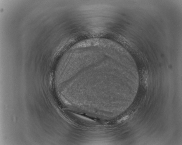 X0000068740742200605262050