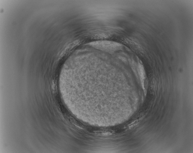 X0000068740743200605262050