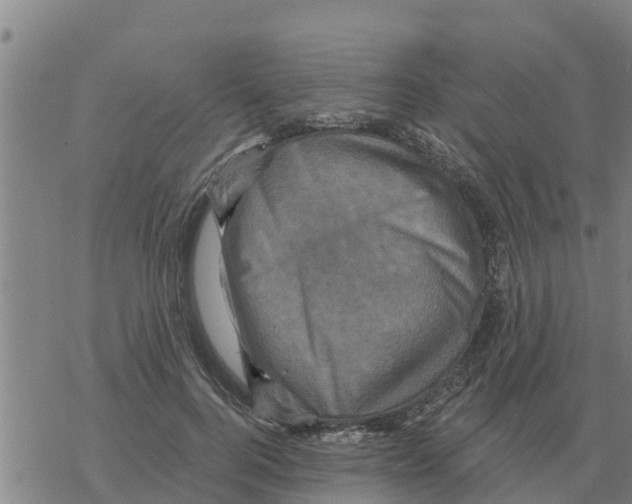 X0000068740744200605262050