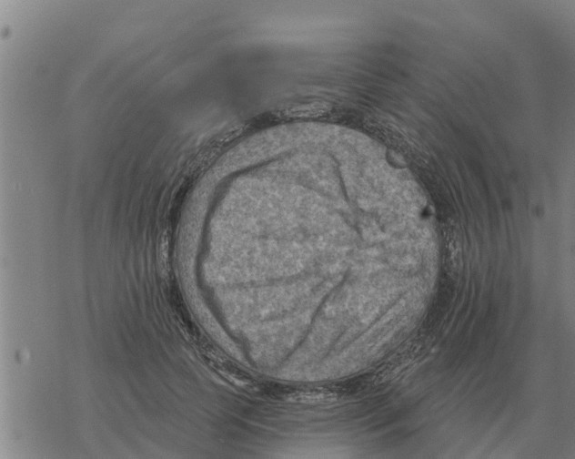 X0000068740745200605262050