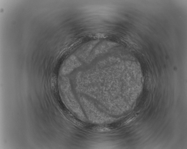 X0000068740747200605262050