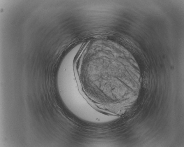 X0000068740748200605262050