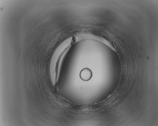 X0000068740750200605262050